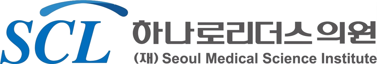 하이이미지 로고